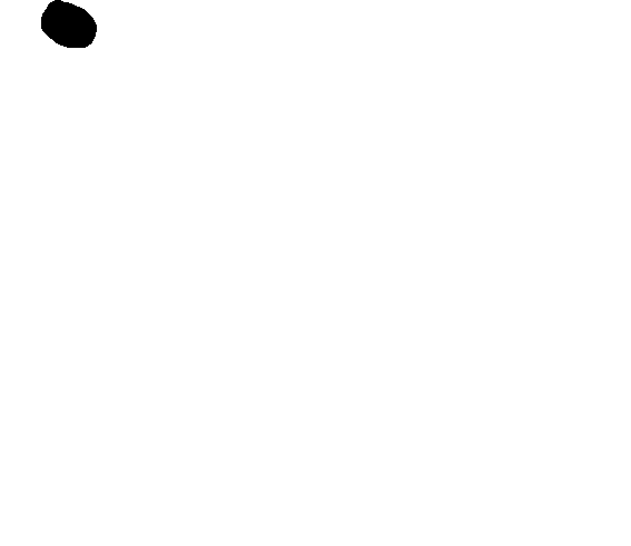 free shipping banner